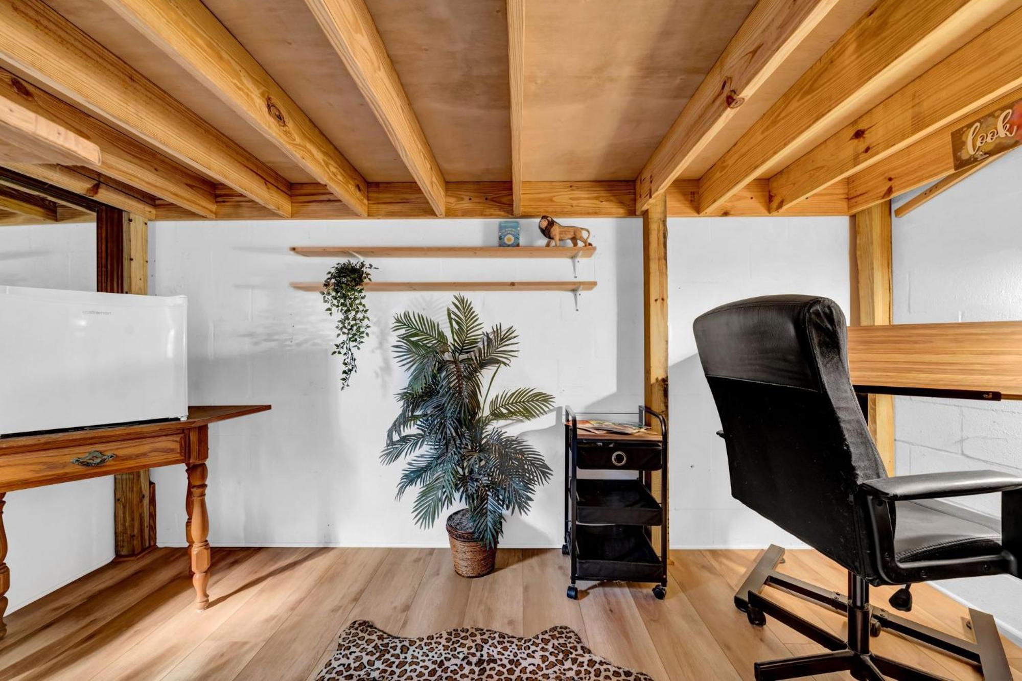 Zen Jungle House By Busch Gardens Sleeps 12 With Outdoor Games & Detached Play Space! Tampa Eksteriør bilde